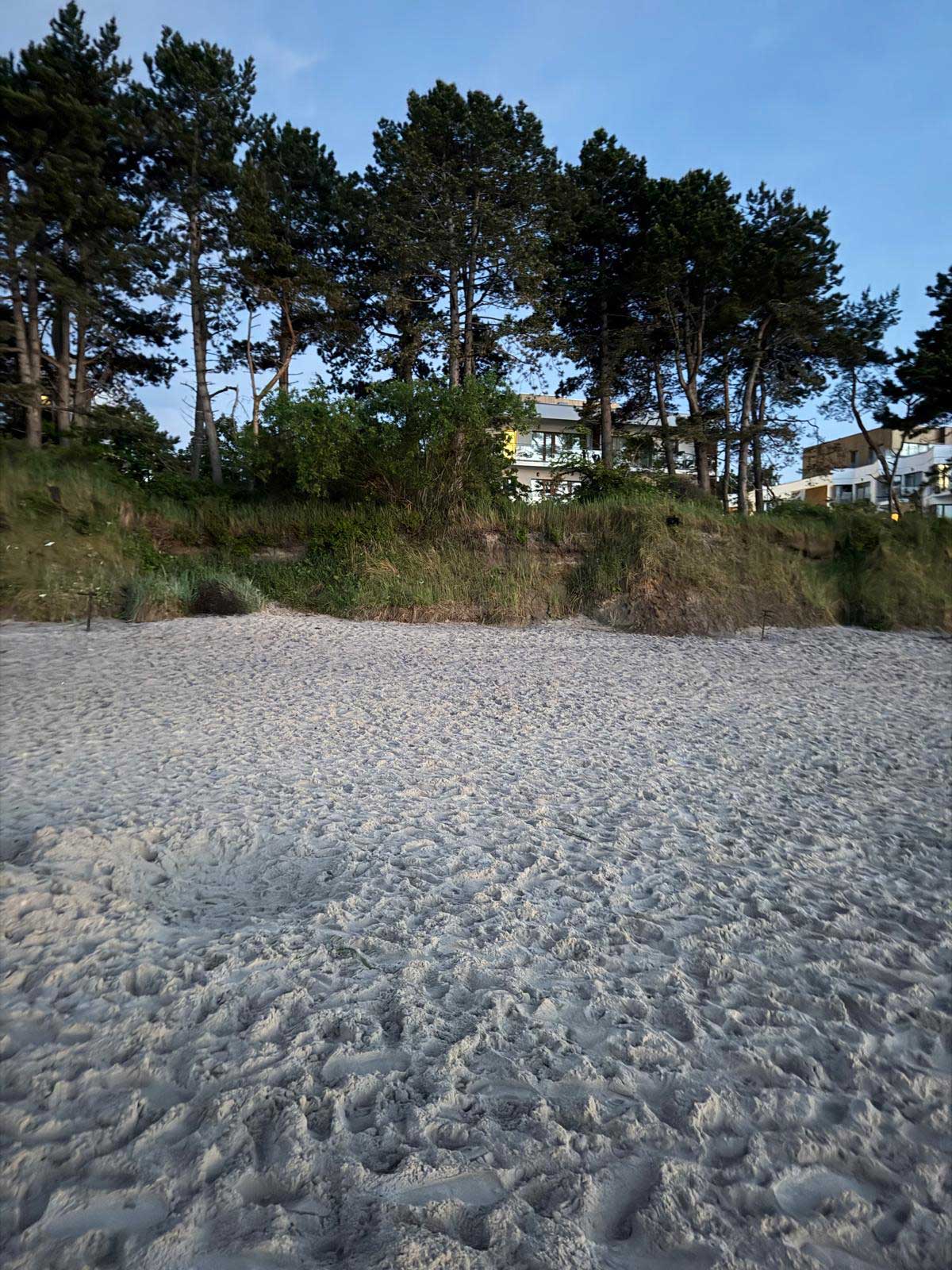 Osiedle wśród sosen przy plaży